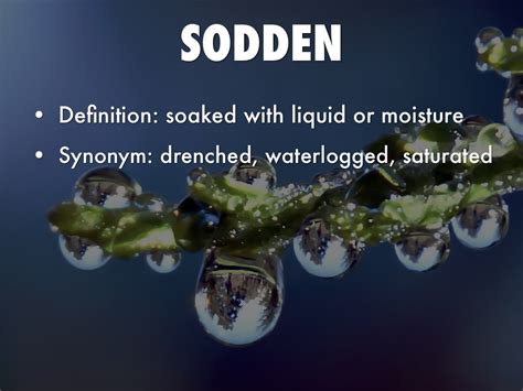 soaked synonym|define sodden.